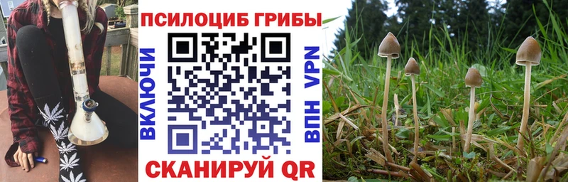 Псилоцибиновые грибы Magic Shrooms Кукмор